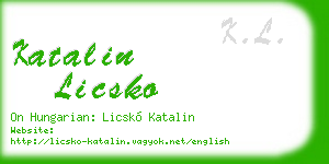 katalin licsko business card